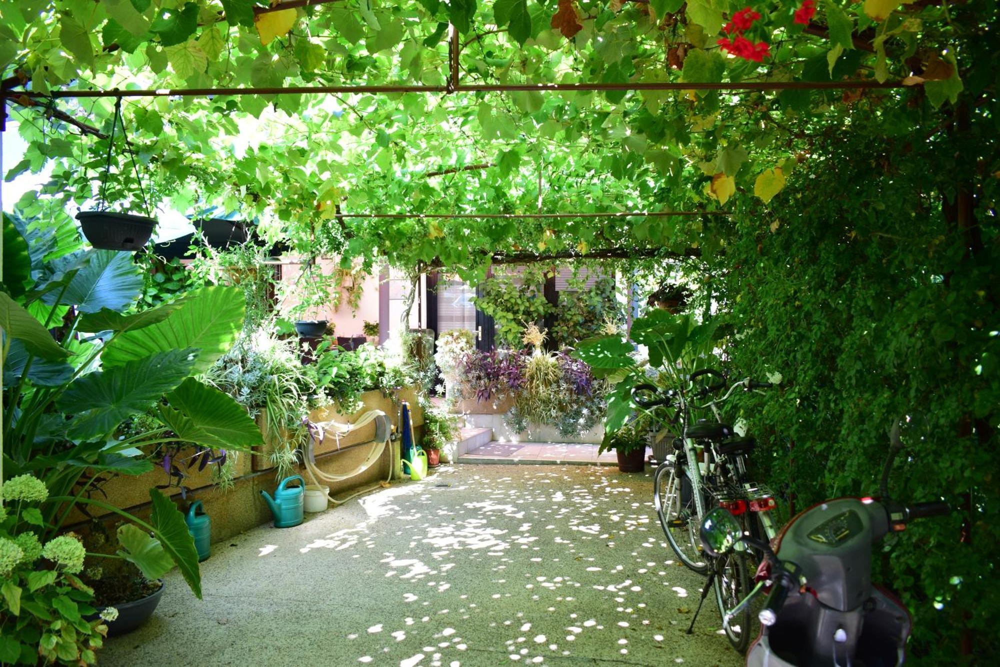 Rooms Vila Mautner ヴォディツェ エクステリア 写真