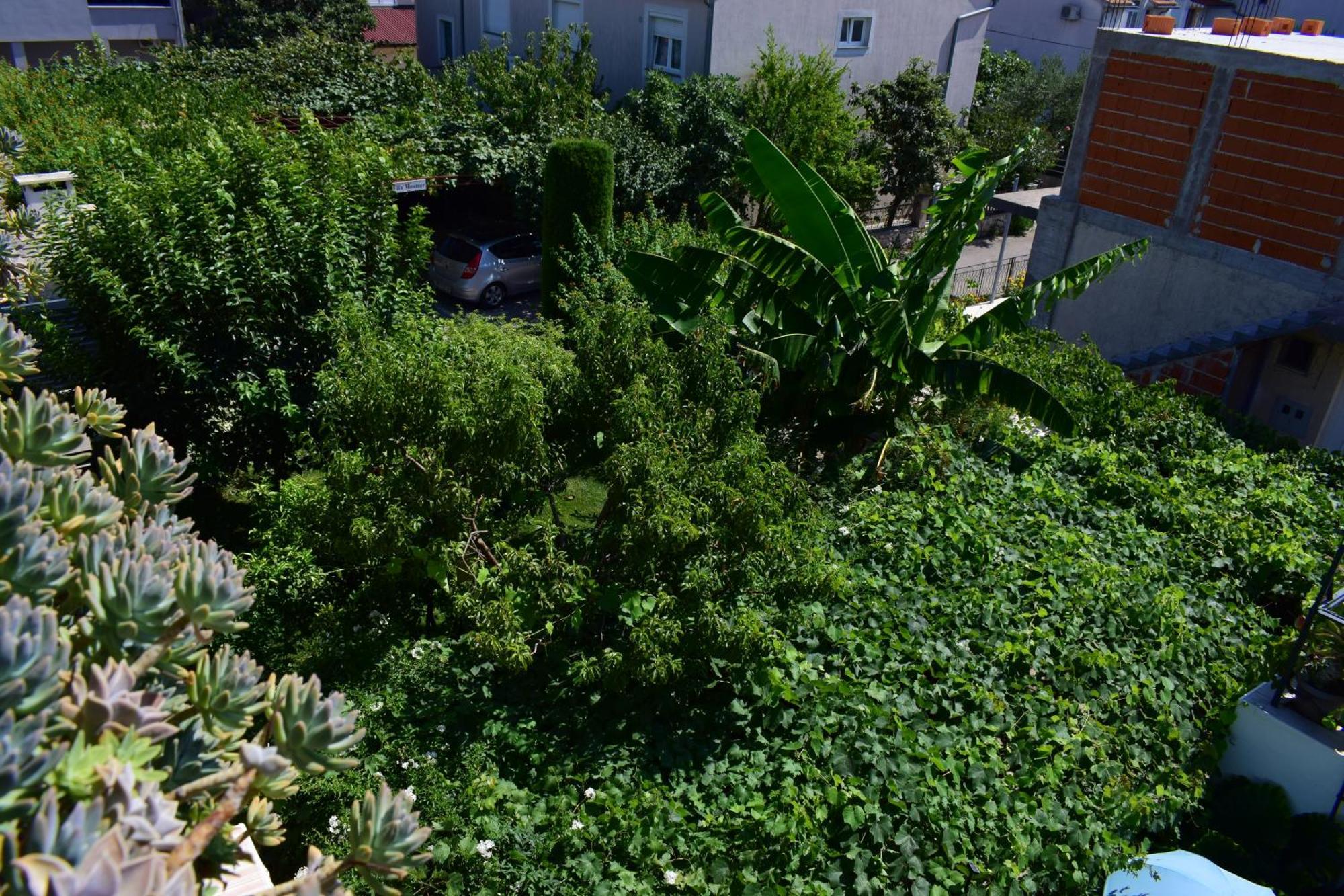 Rooms Vila Mautner ヴォディツェ エクステリア 写真